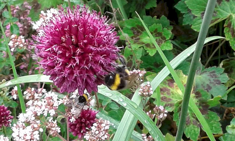 b3.jpg